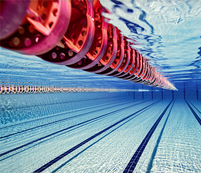 underwater shot of a pool and its lane lines
